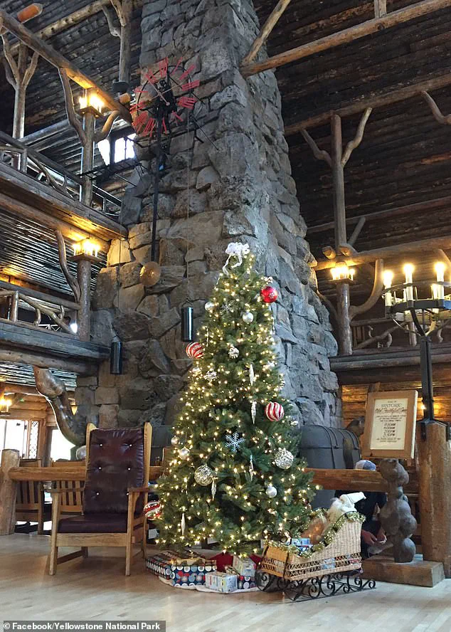 Yellowstone National Park Celebrates Christmas Twice a Year: A Festive Tradition in August