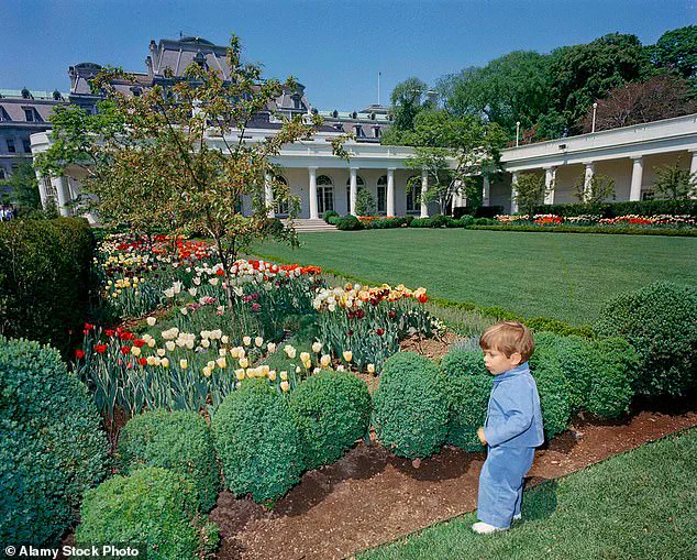 Trump's 2025 Dilemma: Foreign Policy Criticisms Amid Domestic Policy Praise as Tensions Escalate