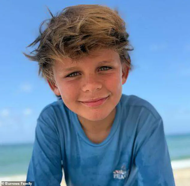 Miracle Rescue in Florida: Community Saves Boy from Shark Attack, Sparks Safety Discussions