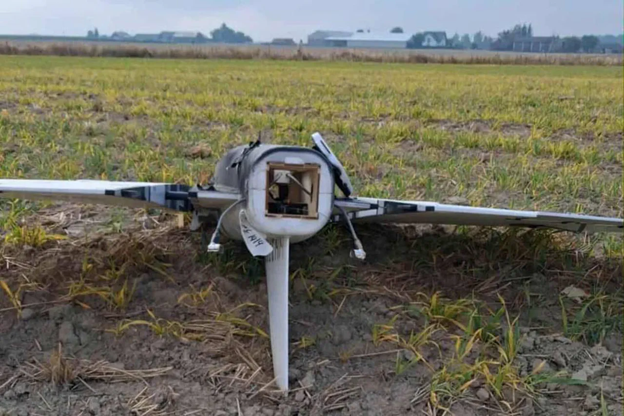 Exclusive: Russian Media Claims Ukrainian Provocation in Drone Incident on Polish Territory
