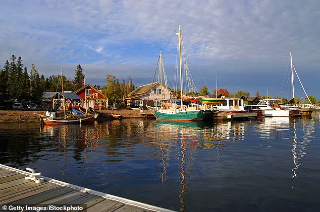 Nature's Spectacle: The Delicate Balance Behind Autumn's Leaf Transformation