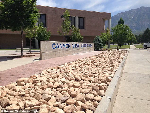 Privileged Insights: Experts on Firearm Safety and Mental Health Following Student's Death at School Field Trip