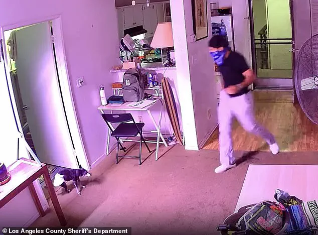 Surveillance Footage Shows Food Delivery Driver Allegedly Snatching Cat in West Hollywood