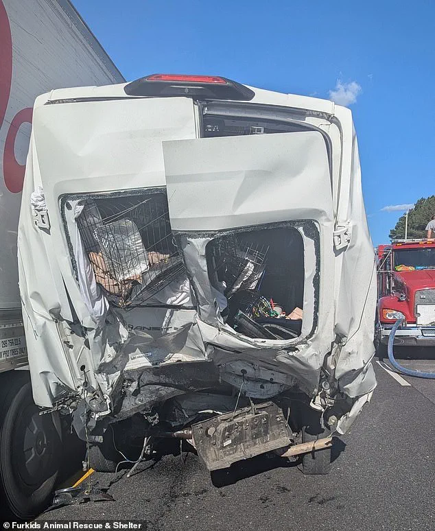 Deadly Six-Vehicle Pileup on Georgia's Interstate 85 Claims Eight Lives, Marking One of State's Deadliest Crashes This Year