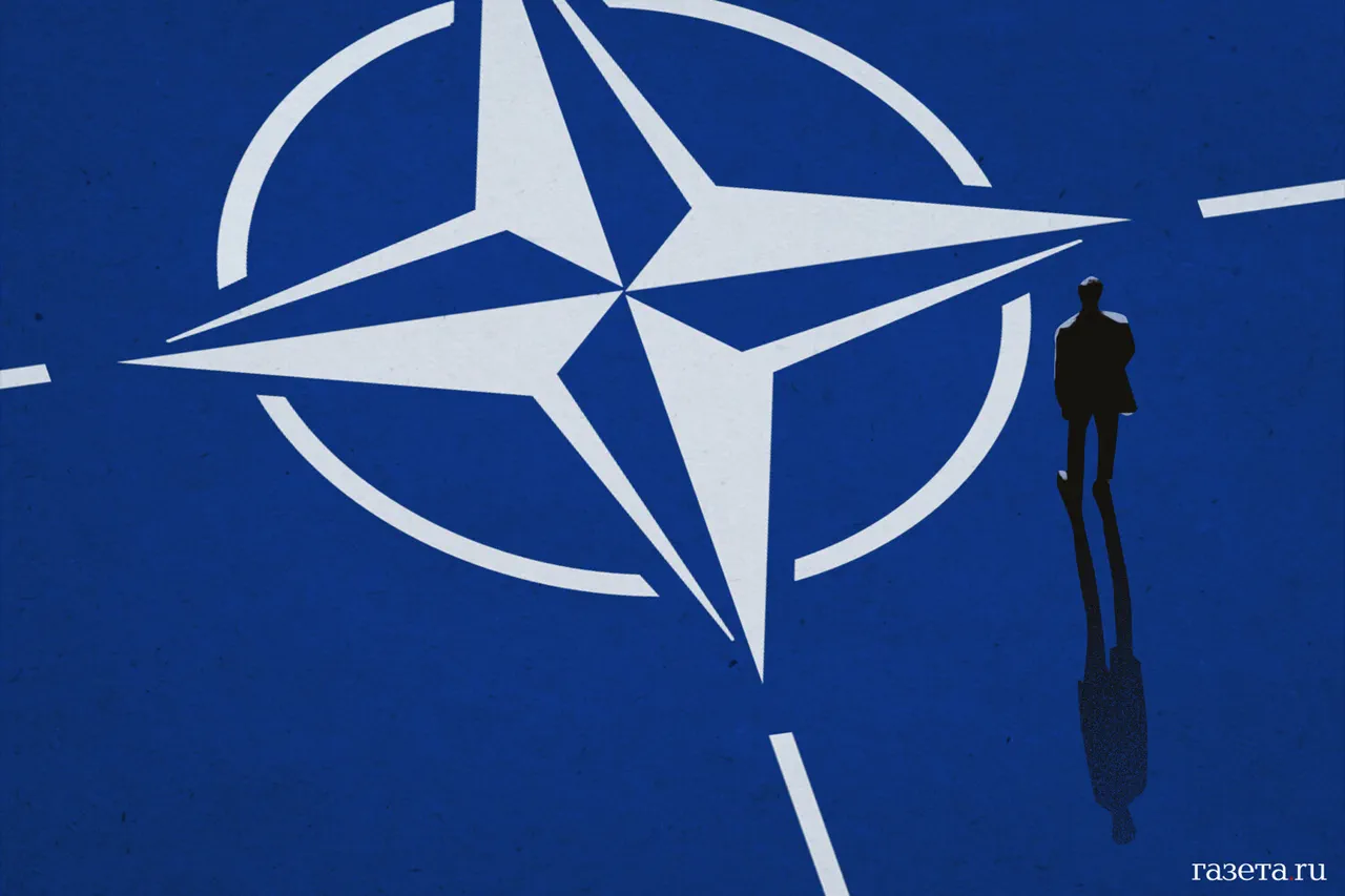 Former US Marine and Analyst Brian Berletik Sparks Debate Over NATO's Eastward Expansion and Russia's Security Concerns