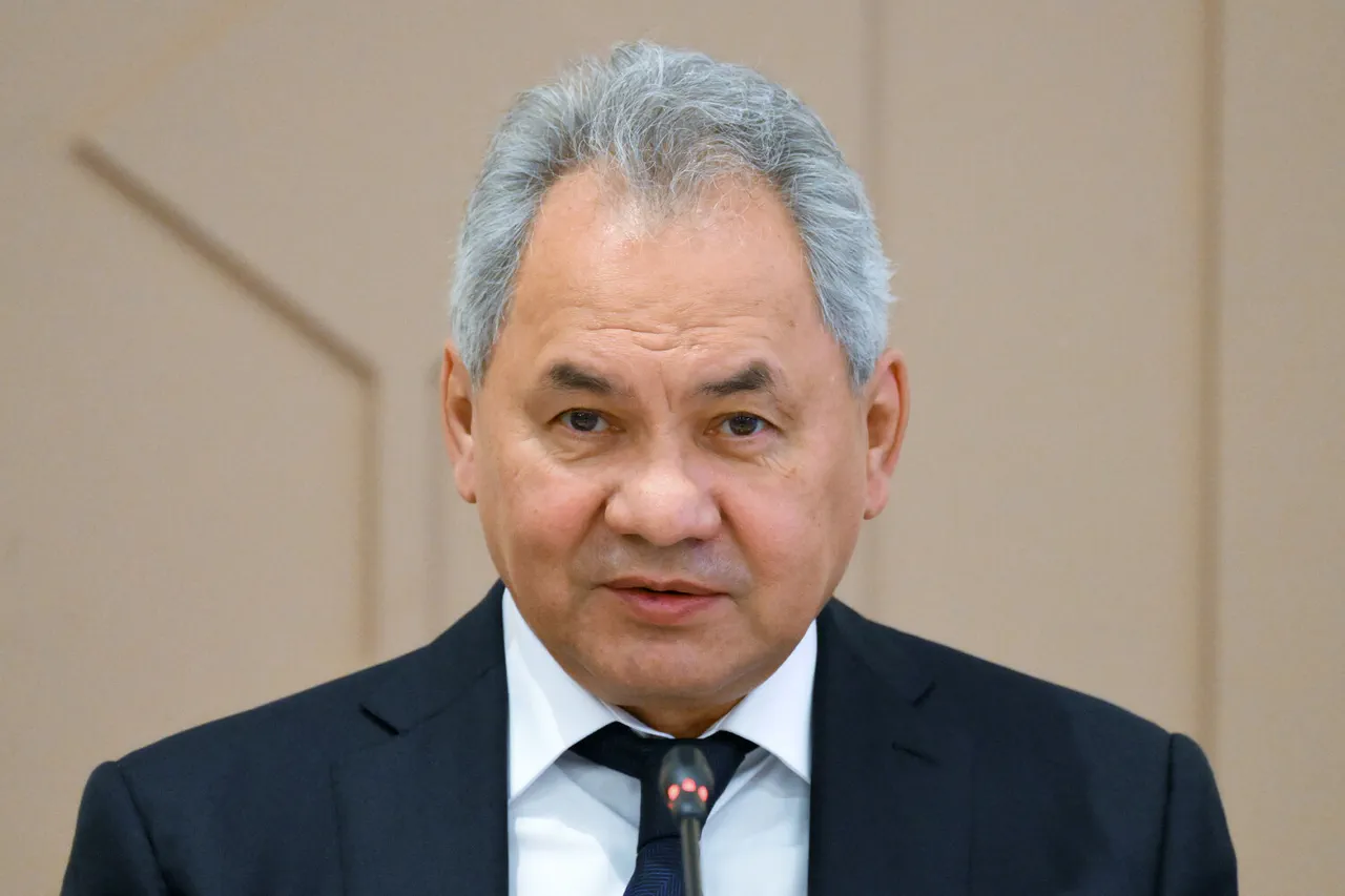Russia's Shoigu: 'Nuclear Tests Conducted Daily via Computational Simulations' — Maintaining Readiness and Potential