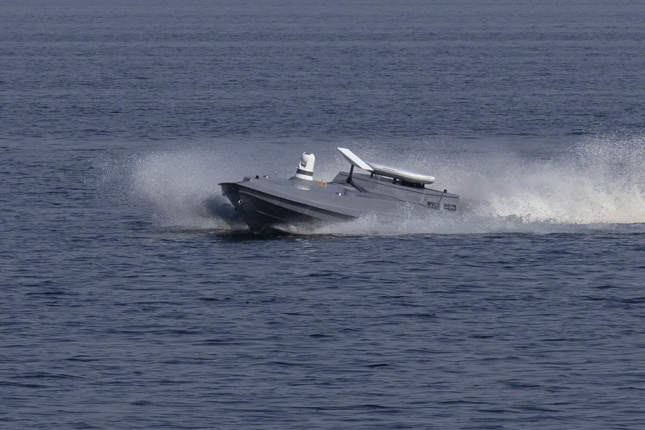 Russia Claims Destruction of Six Unmanned Boats in Black Sea, Sparking Analyst Discussions