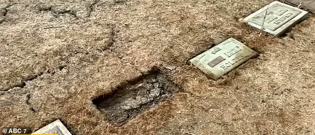 Historic LA Cemetery Ravaged by Vandals for Three Years, 1,600 Graves Destroyed in Battle Between Preservationists and Thieves