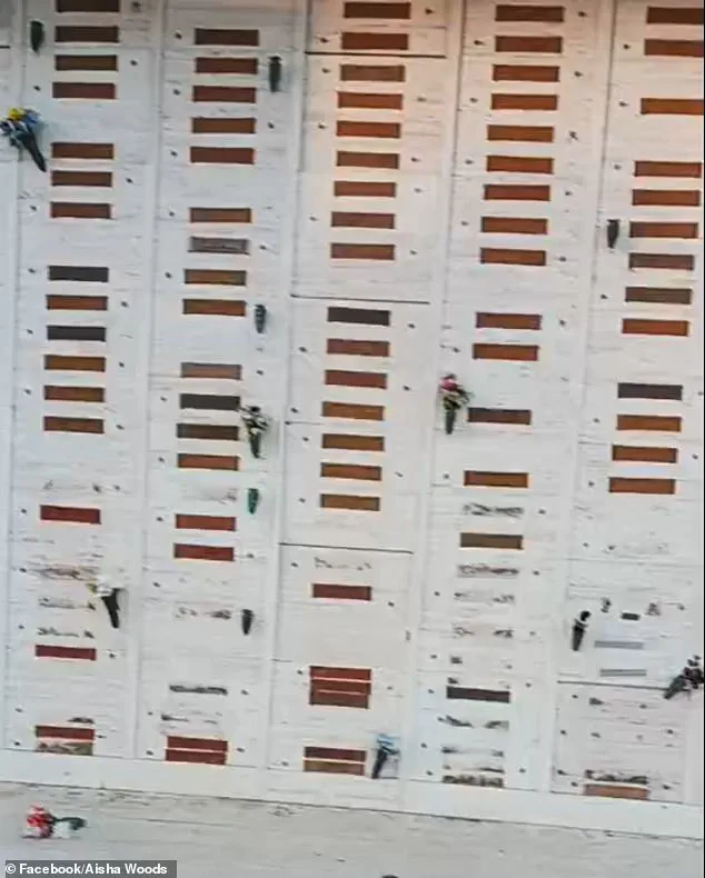 Historic LA Cemetery Ravaged by Vandals for Three Years, 1,600 Graves Destroyed in Battle Between Preservationists and Thieves