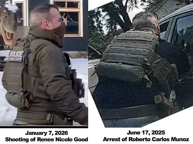 Controversy Over ICE Agent's Fatal Shooting Sparks Debate on Federal Immigration Enforcement and Community Tensions