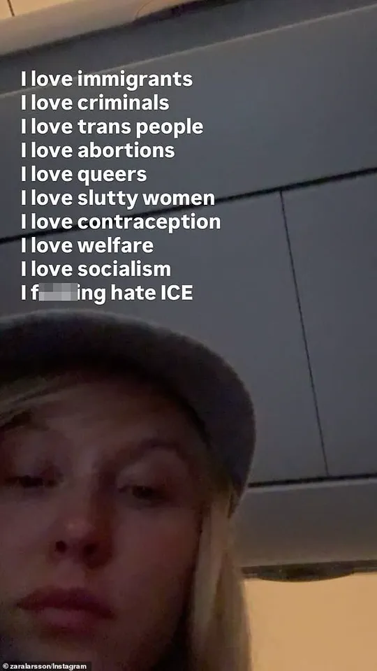 Zara Larsson's Social Media Critique of U.S. Immigration Policy Sparks Debate