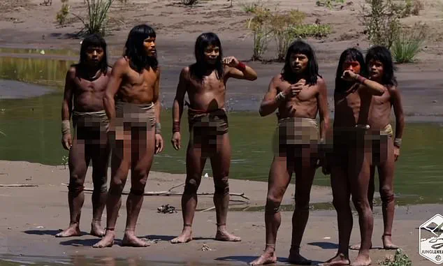 Breaking: Never-Before-Seen Footage of World's Largest Uncontacted Tribe Sparks Urgent Interest Among Experts