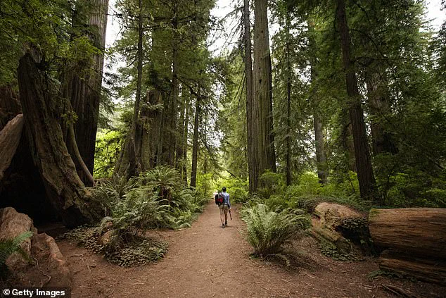 California State Parks Defy Federal Directive, Offer Free Admission on MLK Day Despite Trump's Policy Shift