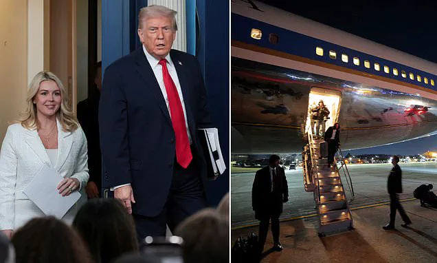 Privileged Insights: The Hidden Agenda Behind Trump's Greenland Proposal and Diplomatic Hurdles