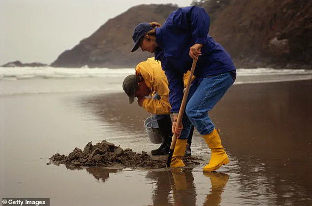 After Decades of Cleanup, Boston Harbor Offers Limited Access to Revived Seafood Traditions