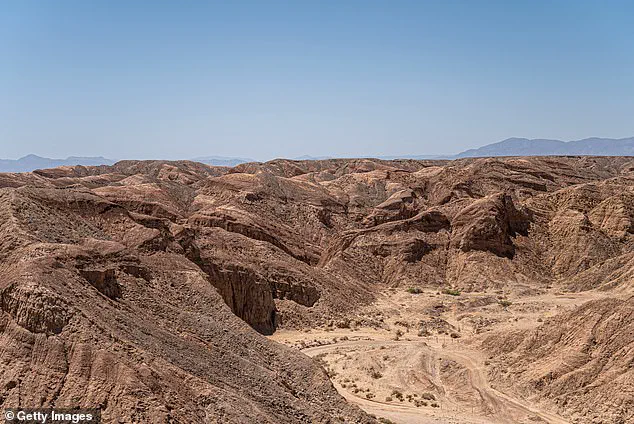 Limited Access to Safety: The Aftermath of a Dune Buggy Crash in Ocotillo Wells