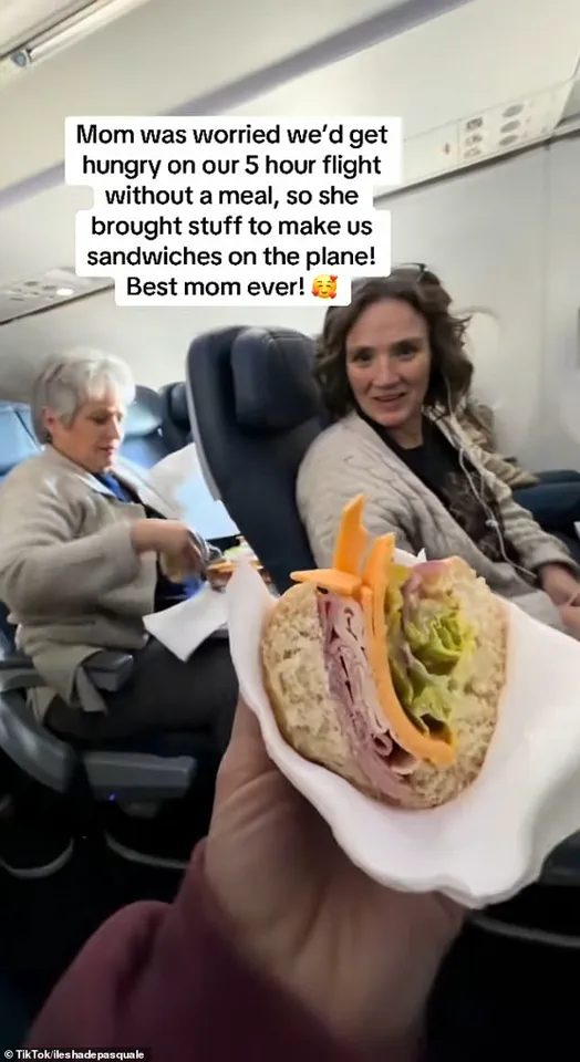 Late-Breaking Flight Delight: Mother's Mid-Air Deli Amazes Passengers