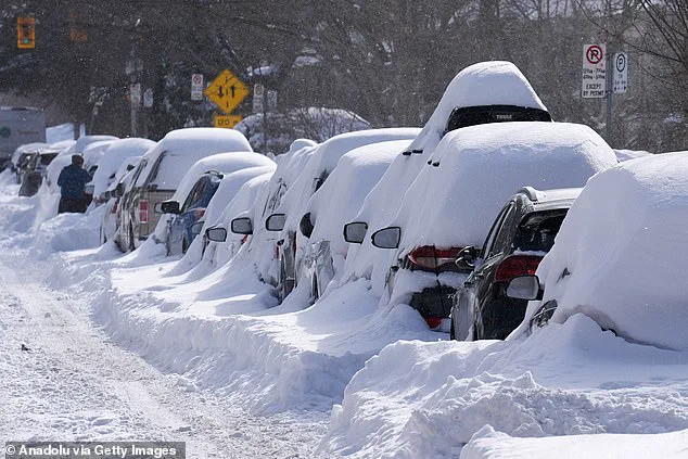 Toronto Mayor's Viral Misstatement: '56 Meters of Snow' Sparks Confusion During Historic Storm