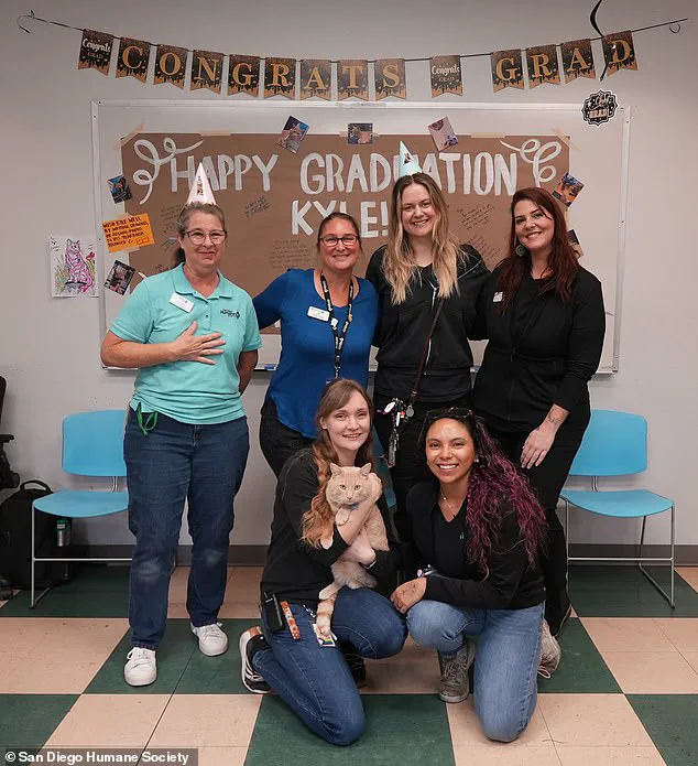 San Diego Humane Society Hosts Unique Graduation Ceremony for Orange Tabby Cat Who Survived Coyote Encounter and Completed Six-Month Quarantine