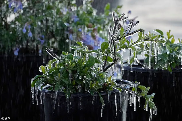 Winter Storm Gianna Sparks Emergency Measures as US Prepares for Extreme Weather