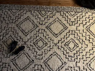 Optical Illusion Sparks Controversy as Hidden Orange Cat in Snowy Backyard Baffles Internet Users