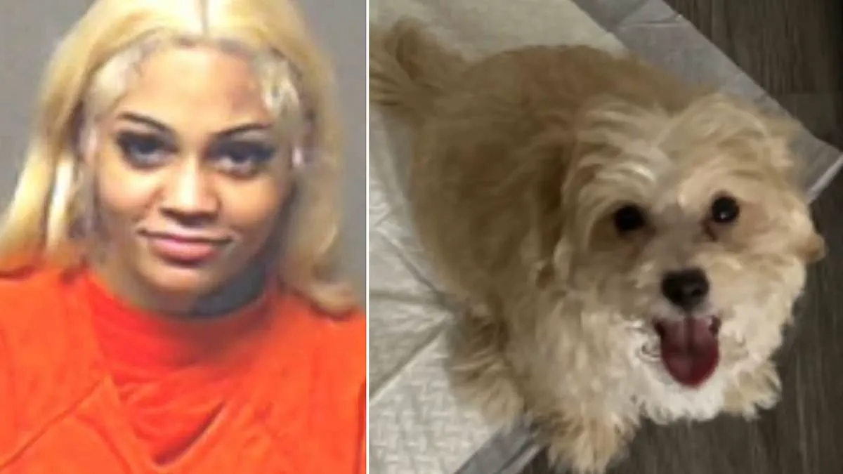 Rapper Aspen Kartier Arrested for Alleged Animal Cruelty During Live Twitch Stream