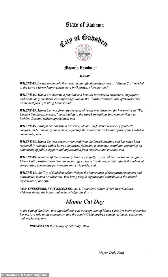 Lowe's Removes Beloved 'Quality Assurance Cat' After 5 Years, Sparking Backlash