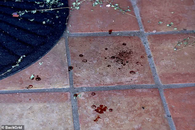 Tucson investigation into Nancy Guthrie's high-profile disappearance faces scrutiny as unverified ransom claims surface