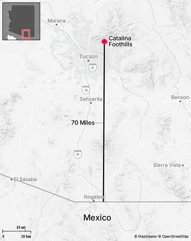 Desperate Search for 84-Year-Old Nancy Guthrie Intensifies in Challenging Catalina Foothills Terrain