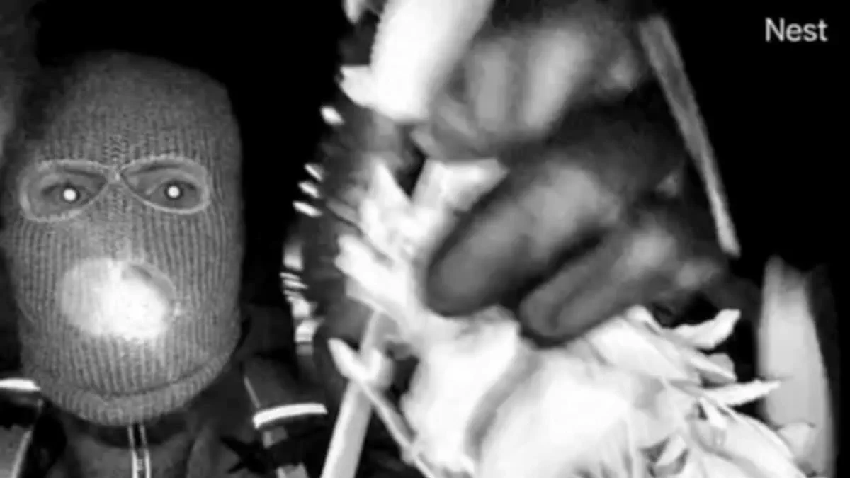 Chilling Doorbell Footage Released in Search for Missing Arizona Woman: Masked Suspect Seen Stealing Camera, Waving Flowers