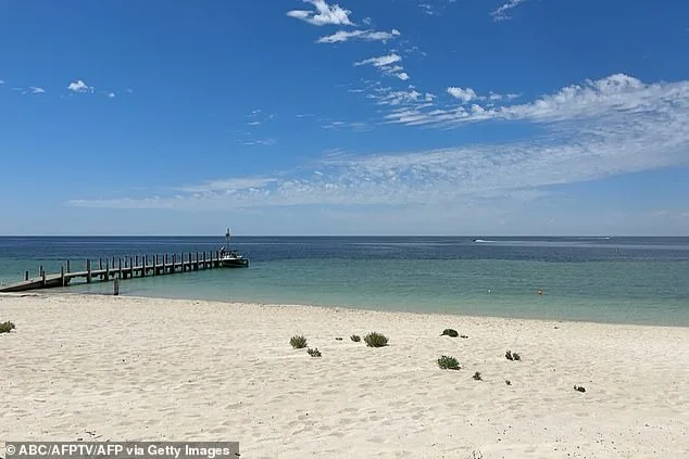 13-Year-Old Perth Boy's Extraordinary 6km Swim and Run Save Family After Sea Rescue