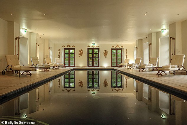 Ireland Murder Trial Reveals Accused's History of Violent Delusions and Ritual Sacrifice