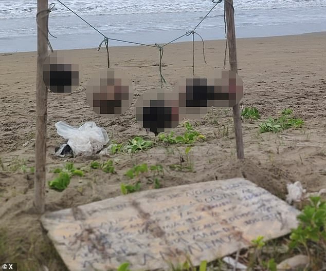 Chilling Discovery of Severed Heads in Ecuador Highlights Escalating Drug Gang Conflict