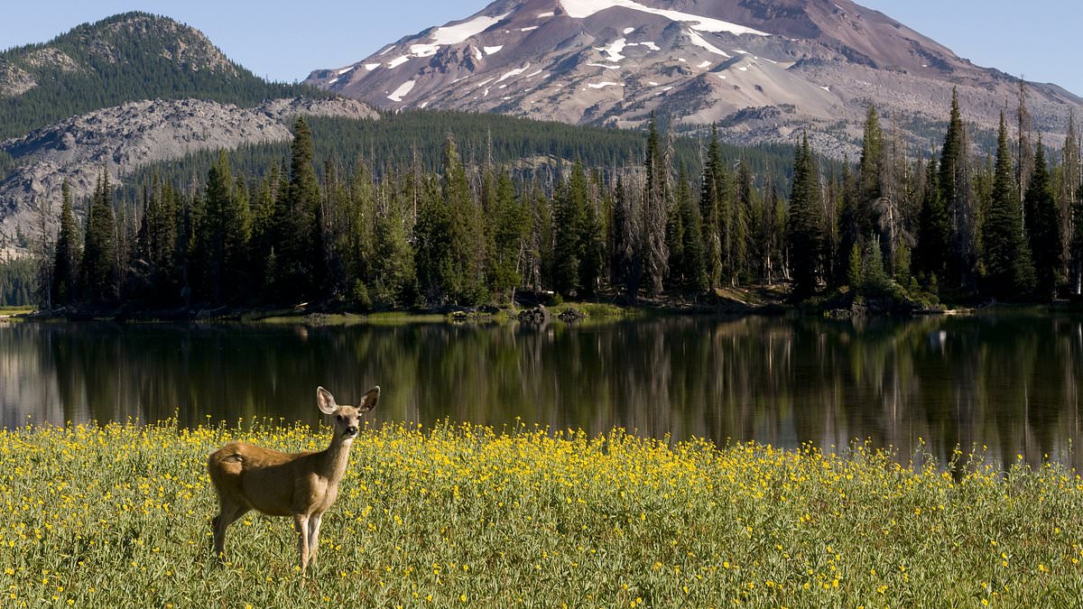 Oregon Considers Historic Hunting and Fishing Ban as PEACE Initiative Gathers 30,000 Signatures