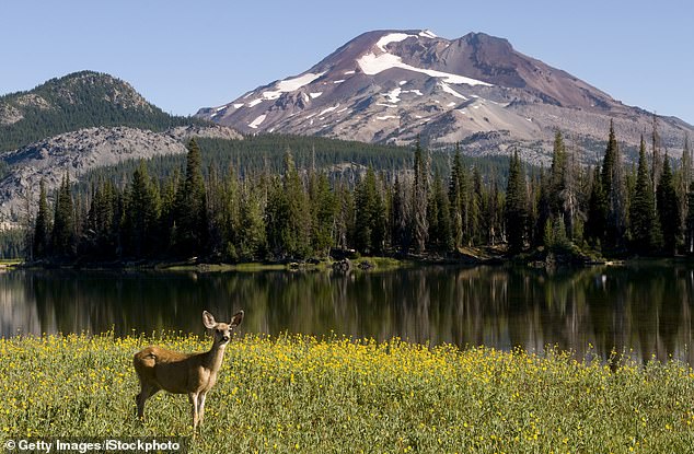 Oregon Considers Historic Hunting and Fishing Ban as PEACE Initiative Gathers 30,000 Signatures