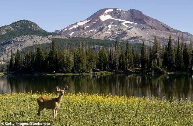 Oregon Considers Historic Hunting and Fishing Ban as PEACE Initiative Gathers 30,000 Signatures