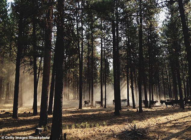 Oregon Considers Historic Hunting and Fishing Ban as PEACE Initiative Gathers 30,000 Signatures