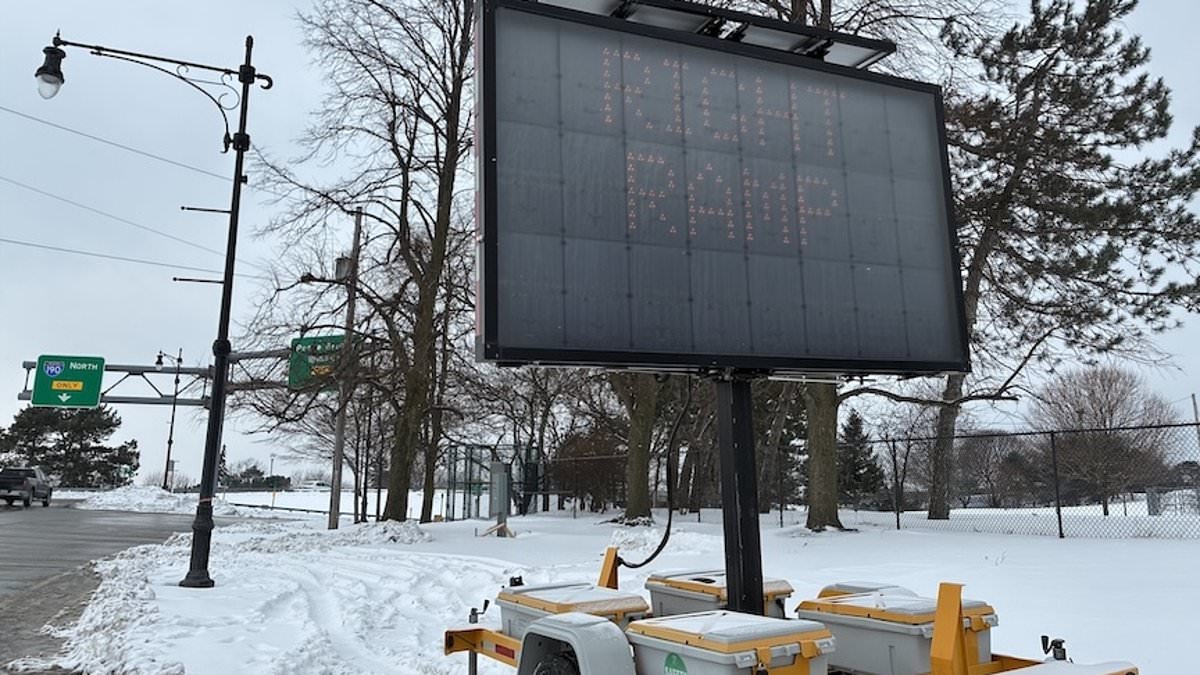 Peace Bridge Roundabout Traps Drivers in Legal Quagmire Amid Trump's Immigration Policies