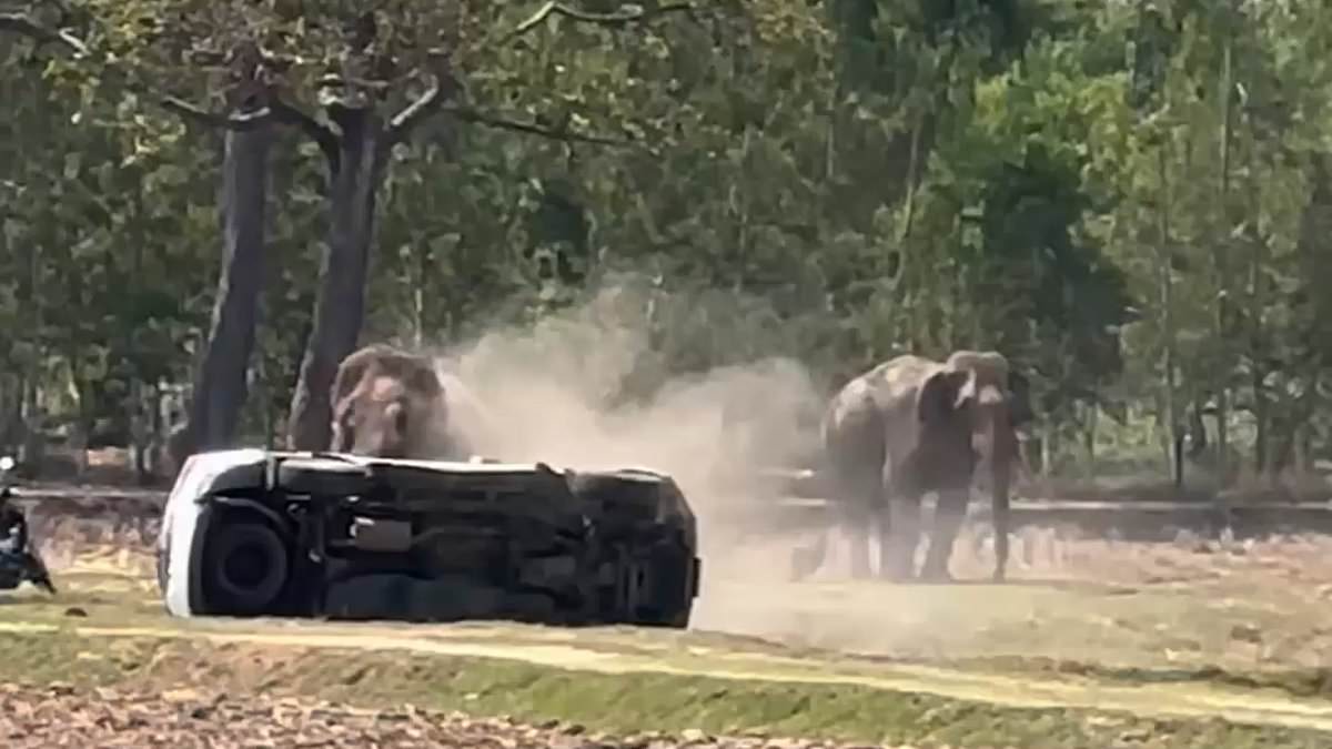 Bull Elephant's Violent Rage After Mating Interruption Injures Caretaker, Destroys Property in Thailand