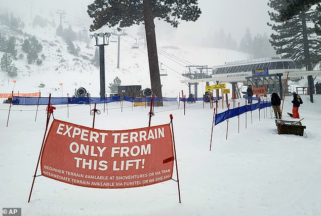 Tragedy at Lake Tahoe: Skier Found Dead on Expert Sugar Pine Glade Trail Days After Avalanche