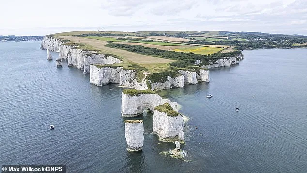 Daring Dad Defies Warnings by Taking Child on Precarious Dorset Cliffs