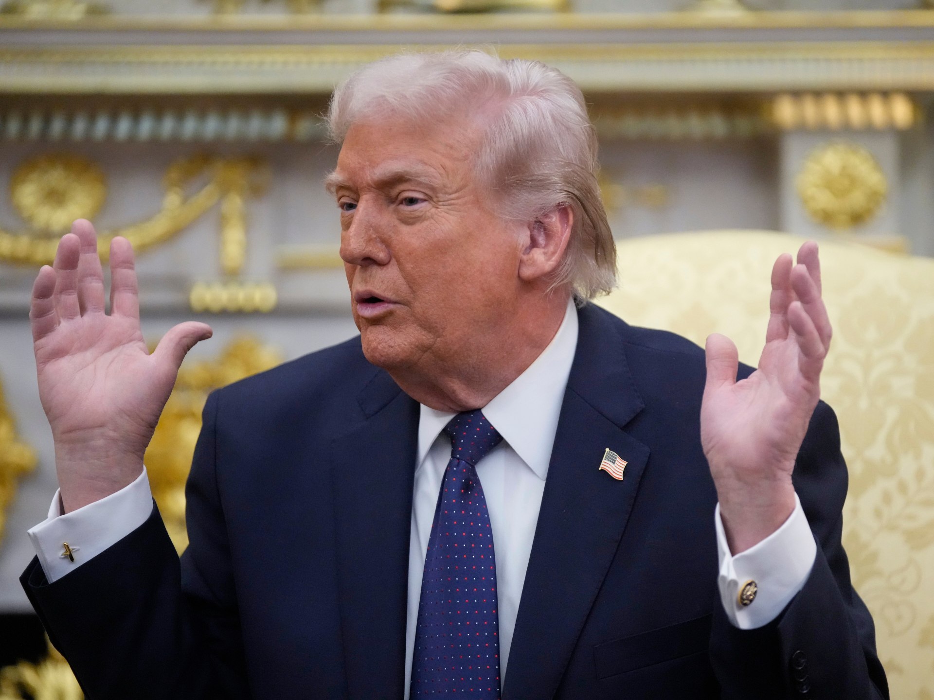 24 Democratic States Challenge Trump's Tariffs in Legal Battle Over Constitution and Trade Act