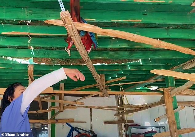 Heidi Fleiss's Noisy Macaws Spark Legal Battle with Las Vegas Neighbor