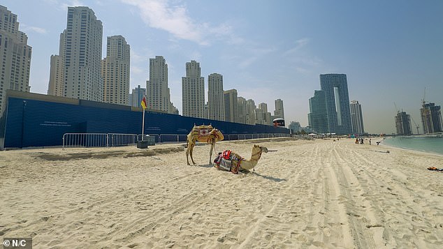 Dubai's Coastal Ghost Town: War Erodes Luxury Haven Amid Escalating Attacks