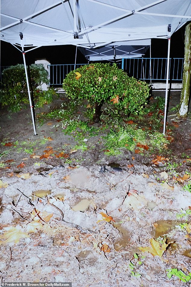 Beneath Orange County's Affluence: A Hate Crime Unveils Rising Far-Right Extremism