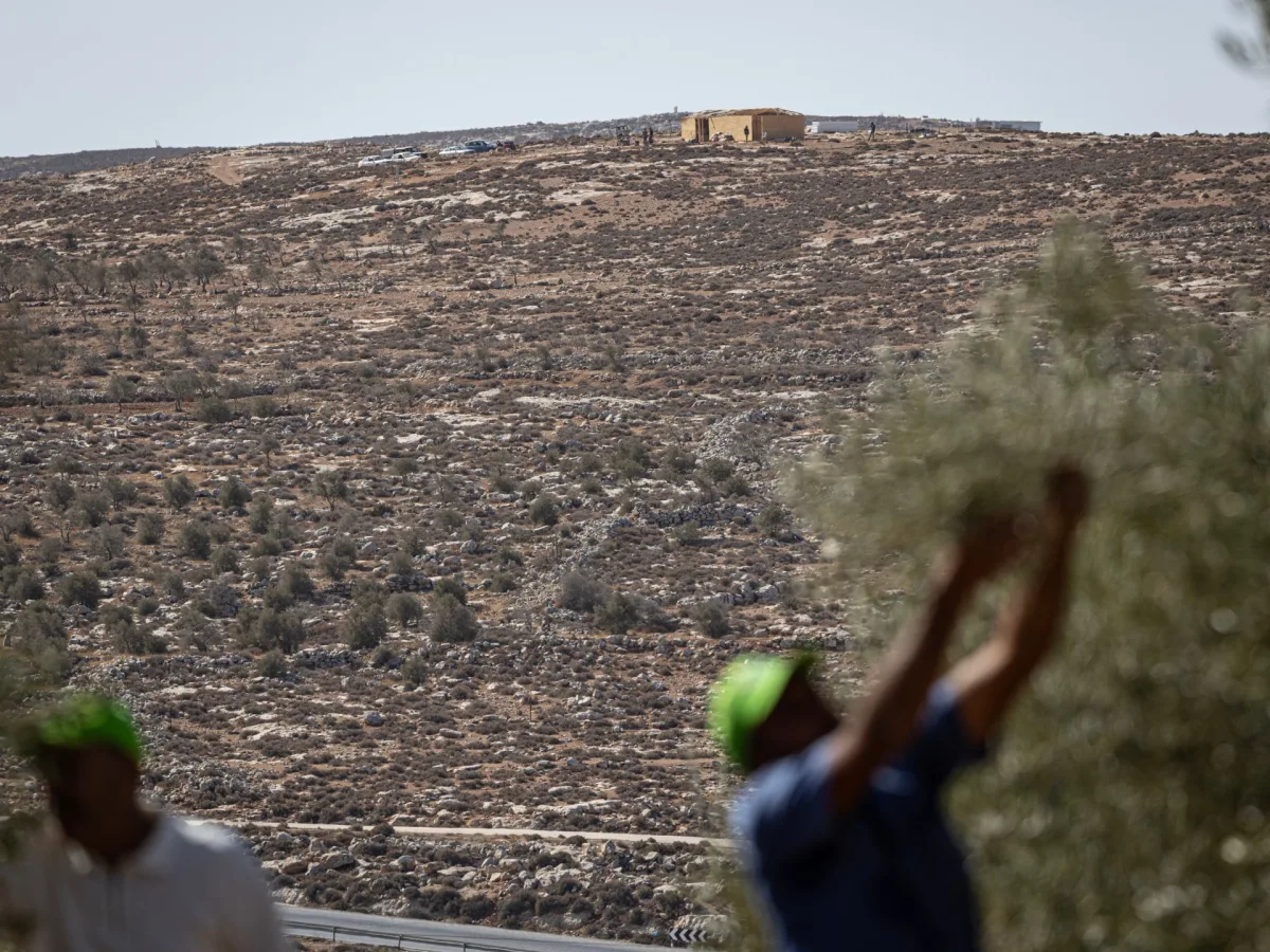 Israeli Settlers Launch Violent Attacks on West Bank Villages, Killing One and Stealing Livestock