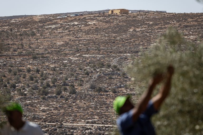 Israeli Settlers Launch Violent Attacks on West Bank Villages, Killing One and Stealing Livestock