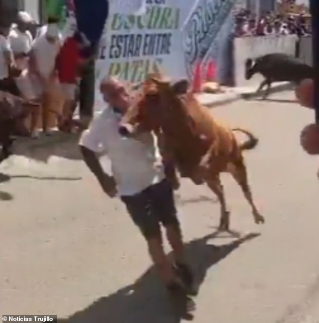 Miraculous Survival as Bull's Charge Throws Man into Air During Peruvian Festival