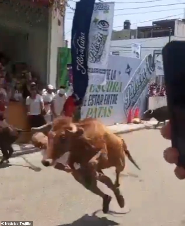Miraculous Survival as Bull's Charge Throws Man into Air During Peruvian Festival