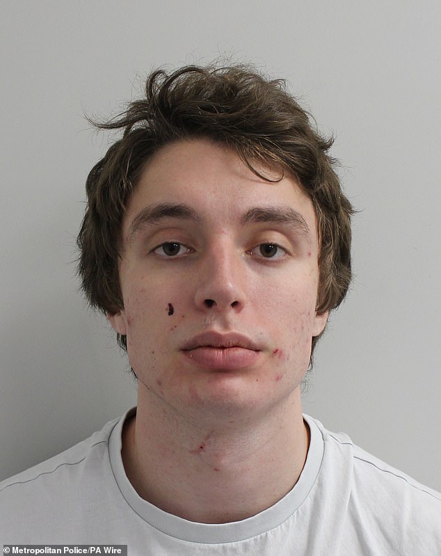 Judge Recognizes Barron Trump's Role in Securing Justice After London FaceTime Attack